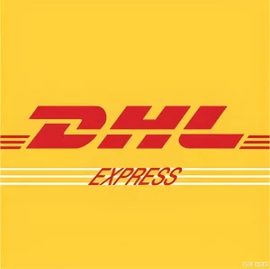 Air Express Freight Services LCL Land Transportation Agent China-US Dangerous Goods Logistics
