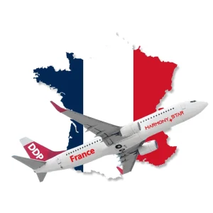 Air Trucking from China to France Freight Service 3-7 Days Transit
