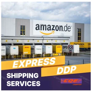 Cash on Delivery International LCL Express Chinese Bulk Store