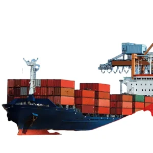 China LCL Express Shipping to US Brazil Canada South America FI Labeling Insurance Local 7-Day Dispatch