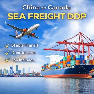 China to Canada DDP Sea Freight Shipping with LCL+Express Door-to-Door