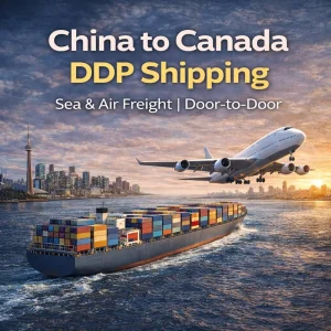 China to Canada Sea Freight Shipping Service with DDP LCL+Express 30-45 Days Transit & Insurance