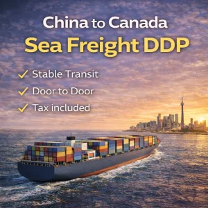 China to Canada Shipping Agent Sea Freight LCL+Express DDP Door-to-Door with Insurance 30-40 Days