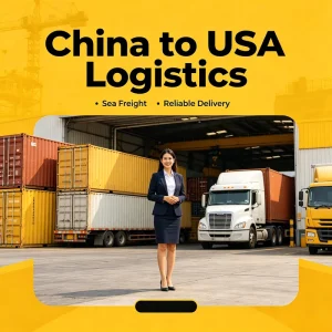 China to USA Sea Freight LCL+Express DDP Door-to-Door Service for Amazon FBA Cargo Shipping