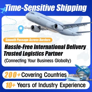 Customized DDP DAP Logistics Solutions for Whole Cabinet Shipping Container LCL+Express Services Sea Freight Shipping