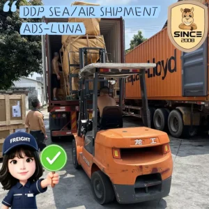DDP DDU Express Shipping FCL LCL China to Libya Freight Forwarder Logistics