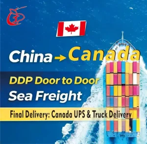 DDP Shipping China to Canada Door Delivery Sea Freight LCL+Express with Insurance, 30-45 Days Transit, Tax Included