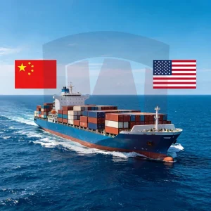 DDP Shipping Service and Warehousing Service for Large Cargo Delivery From China