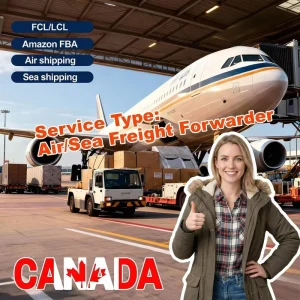 Door-to-Door Air Express Forwarder from China to Canada Toronto Montreal with Full Customs Clearance