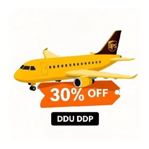 Door-to-Door Air Express Shipping Agent Air Freight Forwarder DDP DDU Logistics Service