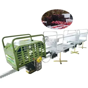 Double-Track Electric Rail Transport, 500 kg Capacity