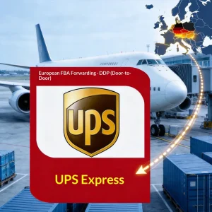 European Dedicated Air Express International Logistics Double Clearance with Tax Included