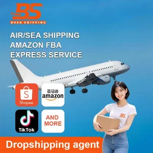 Express Delivery Services International Transportation China to US Canada Air Express 3-7 Days Dangerous Goods
