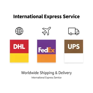Express Freight Forwarder DDP Door-to-Door Delivery Shipping Agent LCL+Express UK Europe USA Italy Australia UAE