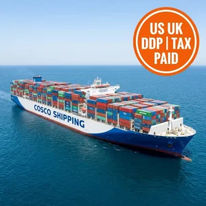 FBA Door-to-Door LCL+Express Delivery from China to USA and UK, DDP Service with Insurance