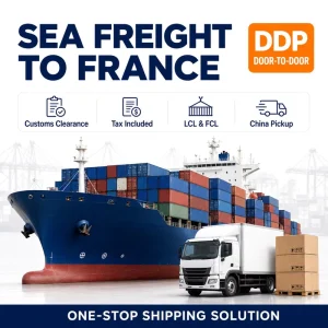 Freight Forwarder China to France LCL+Express 20GP 40GP 40HQ with Destination Delivery Insurance Included 25-45 Days Transit
