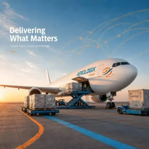 Freight Forwarder Shipping Agent China Sea-Air Logistics LCL Express Consolidation Shipping North America Europe