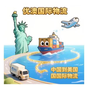 Freight Forwarder in USA and Canada for LCL and Express Shipping Logistics Services, DDP, DDU, and FBA
