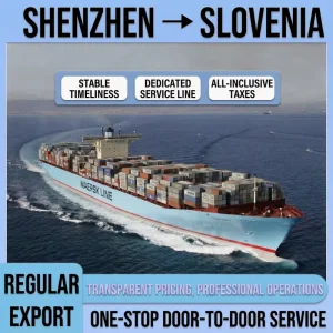 Freight Forwarding China to Global, LCL+Express DDP with Carriers, Support, and Insurance