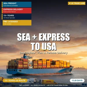 Global Ocean Freight DDP Service China to USA LCL+Express with Dangerous Goods & Insurance