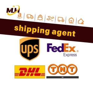 International Air Express Courier DDP Agent for China USA UK Germany France Canada EU and Australia with Shipping Rates