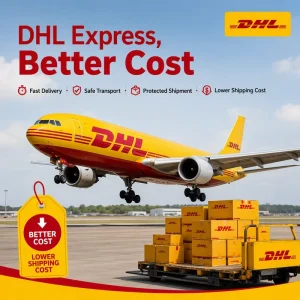 International Express Shipping Global Delivery European Freight Forwarder