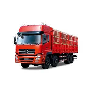 International Logistics China to United States Canada Mexico Pakistan UK Europe Germany Italy Express DAP Door to Door