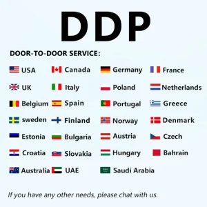 International Sea Freight Express Shipping LCL+Express FCL DDP Door-to-Door Shipping Agent to US
