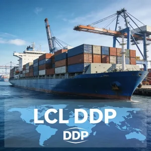 LCL Express Customs Clearance Declaration Document Door-to-Door Air+Express Service Insurance Dangerous Goods Handling