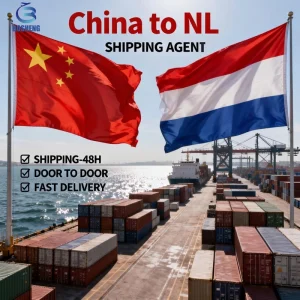 LCL Express DDP Ocean Shipping Agent China to Netherlands Door to Door Sea Freight Forwarder Logistics Service