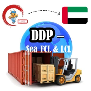 LCL Express Door-to-Door FBA Fulfillment Shipping Agent China USA Dubai 15-35 Days Transit Insurance