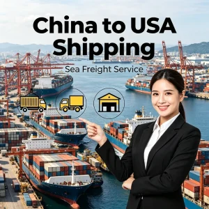 LCL Express Sea Freight DDP Door-to-Door Shipping from China to USA with Insurance