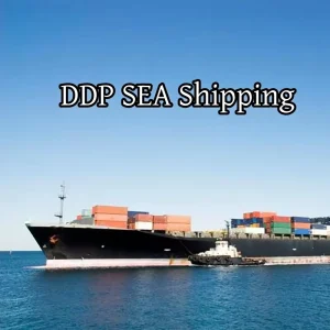 LCL Express Sea Freight Forwarder Container Shipping Agent in China 40ft Capacity to USA Canada France DDP DDU