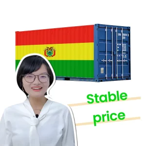 LCL Express Shipping Agent by Sea or Air from China to Bolivia