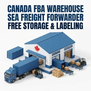 LCL Ocean Freight Forwarding DDP Warehouse Transit Delivery From Hangzhou and Shanghai to Canada