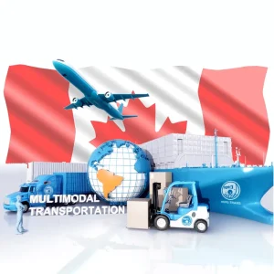 LCL Sea Freight Forwarder Shipping Agent From China to Europe UK Germany France Canada USA