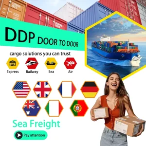 LCL+Express Freight Forwarder Logistics DDP/DDU Dropshipping Agent FBA Courier Service USA