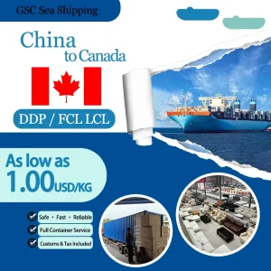 North America Logistics Shipping Solution Guangzhou to Canada LCL Express