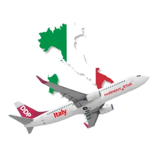 Professional Freight Forwarder China Italy International Air Trucking Dangerous Goods Handling 24/7 Support Secure