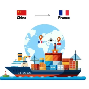 Professional LCL FCL Sea Freight Forwarder Multi-Transport Logistics Shipping Agent From China to EU France