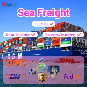 Professional Reliable Sea Freight Agent Providing LCL+Express Door-to-Door Transportation Shenzhen France 45-55 Days Transit