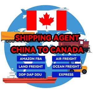Sea Freight Container Shipping LCL Express Cargo Consolidation China Halifax Winnipeg Edmonton Calgary