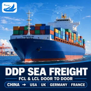 Sea Freight Forwarder LCL+Express Shipping Agent From China to USA UK Germany France DDP Door to Door Shipping