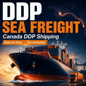 Sea Freight LCL+Express China to Canada DDP Door-to-Door Shipping with Insurance and 30-45 Days Transit