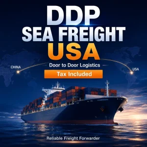 Sea Freight Logistics Service China to USA DDP LCL + Express 30-45 Day Transit