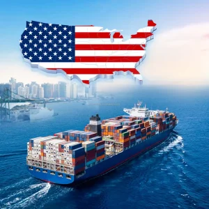Sea Freight Logistics Service LCL Express Delivery with Insurance and Drop Shipping