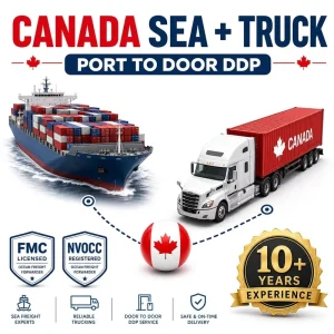 Sea Freight Logistics Shipping Agent Free Warehousing Duty-Free DDU/DDP