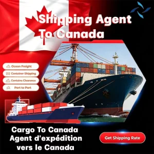 Sea Freight Shipping Service From China to Canada DDP with LCL+Express Dangerous Goods Handling & Tracking