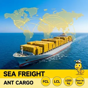 Sea Shipping Agent LCL Express China to USA Canada Mexico Freight Forwarder Delivery Door to Door Logistics