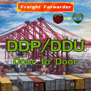 Sea Shipping China to India DDP Shipping Agent